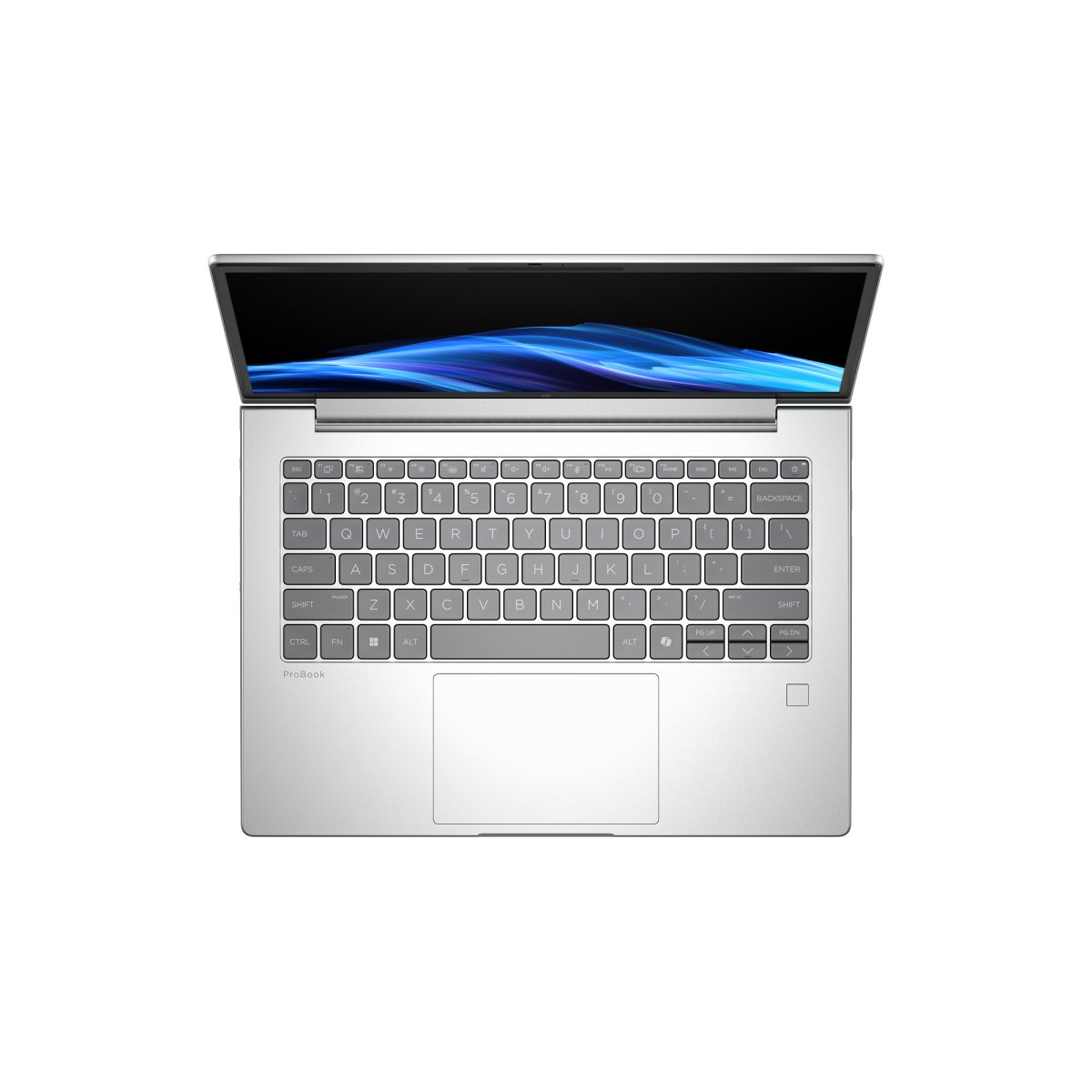 HP ProBook 4 G1a AI PC AMD Ryzen™ 5 230 Laptop 35.6 cm (14") WUXGA 16 GB DDR5-SDRAM 512 GB SSD Wi-Fi 6E (802.11ax) Windows 11 Pro Silver - Image 4
